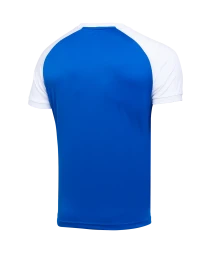 Футболка игровая JOGEL CAMP Reglan Jersey, синий/белый