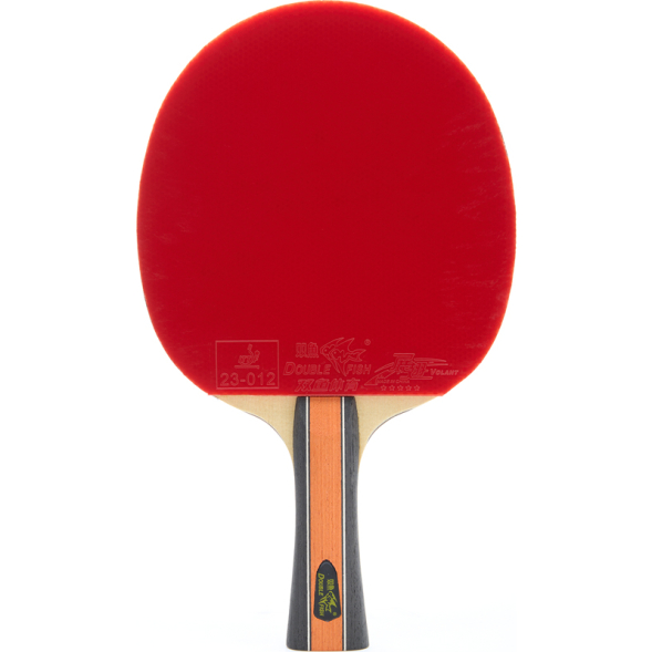 Ракетка для настольного тенниса DOUBLE FISH J9 в комплекте с чехлом