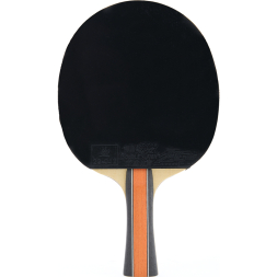 Ракетка для настольного тенниса DOUBLE FISH J9 в комплекте с чехлом