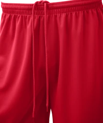 Шорты баскетбольные JOGEL CAMP Basic, красный, детский