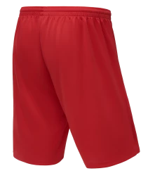 Шорты баскетбольные JOGEL CAMP Basic, красный, детский
