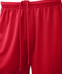 Шорты баскетбольные JOGEL CAMP Basic, красный, детский