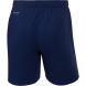 Шорты тренировочные JÖGEL NATIONAL PerFormDRY Training Shorts, темно-синий