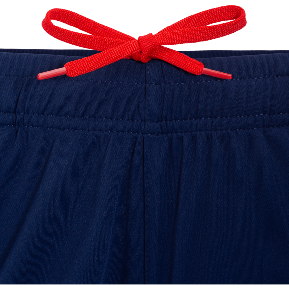 Шорты тренировочные JÖGEL NATIONAL PerFormDRY Training Shorts, темно-синий