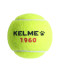 Мячи для тенниса KELME 1960 (3 мяча в тубе) Light Green