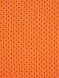 Детская манишка FN Focused Kid Orange