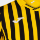 Игровая футболка JOMA PERFORMANCE MULTISPORT Желтый-черный