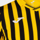 Игровая футболка JOMA PERFORMANCE MULTISPORT Желтый-черный