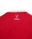 Футболка игровая JOGEL DIVISION PerFormDRY Element Jersey, красный