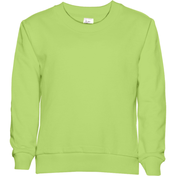 Свитшот детский STAN футер без начёса, 260, 63J