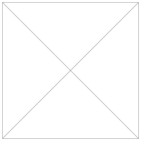 ФУТБОЛКА С ДЛИННЫМ РУКАВОМ BRAMA ACADEMY РОЗОВАЯ