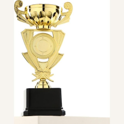 Кубок 182B, зол., подставка пластик, 24 × 12 × 8.3 см