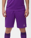 Шорты игровые JOGEL CAMP Classic Shorts, фиолетовый/белый