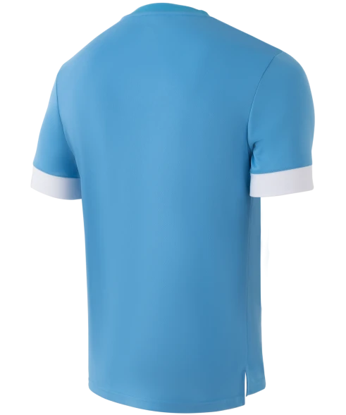 Футболка игровая JOGEL DIVISION PerFormDRY Union Jersey, голубой/белый/белый