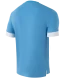 Футболка игровая JOGEL DIVISION PerFormDRY Union Jersey, голубой/белый/белый