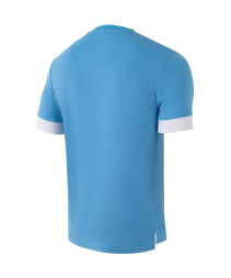 Футболка игровая JOGEL DIVISION PerFormDRY Union Jersey, голубой/белый/белый