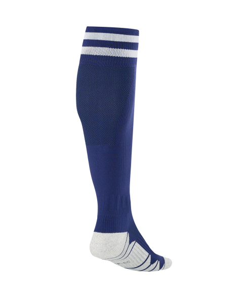 Гетры футбольные JOGEL MATCH 2 PerFormDRY National 26 Away Socks, сине-белый