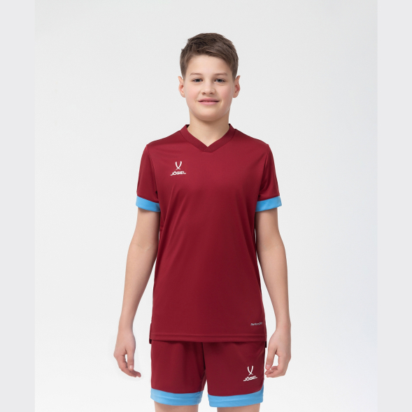 Футболка игровая JOGEL DIVISION PerFormDRY Union Jersey, гранатовый/голубой/белый