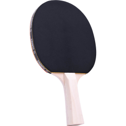 Ракетка для настольного тенниса TORRES Control 10 TT0001