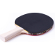 Ракетка для настольного тенниса TORRES Control 10 TT0001