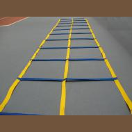 Скоростная лестница &quot;DOUBLE LADDER 10&quot;  