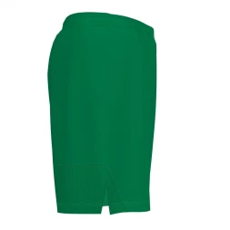 Шорты JOMA PERFORMANCE MULTISPORT 101958.450