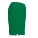 Шорты JOMA PERFORMANCE MULTISPORT 101958.450