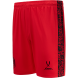 Шорты игровые JOGEL AMKAL PerFormDRY Shorts, красный/черный