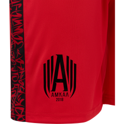 Шорты игровые JOGEL AMKAL PerFormDRY Shorts, красный/черный