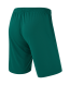 Шорты игровые JOGEL CAMP Classic Shorts, темно-зеленый, детский