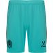 Шорты игровые JOGEL AMKAL PerFormDRY Shorts, бирюзовый/черный