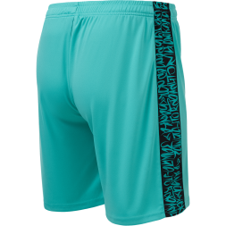 Шорты игровые JOGEL AMKAL PerFormDRY Shorts, бирюзовый/черный