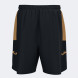 ШОРТЫ 3ª HELLAS VERONA FC