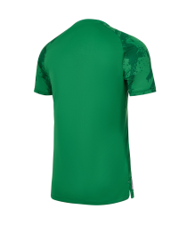 Футболка вратарская JOGEL PREMIER PerFormDRY Spartak GK Jersey Green, зеленый
