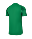 Футболка вратарская JOGEL PREMIER PerFormDRY Spartak GK Jersey Green, зеленый