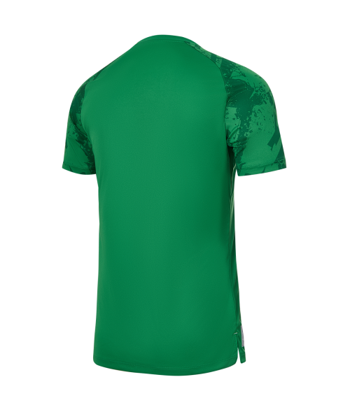 Футболка вратарская JOGEL PREMIER PerFormDRY Spartak GK Jersey Green, зеленый
