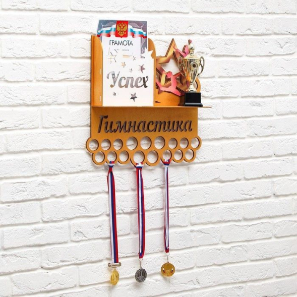 Медальница &quot;Гимнастика&quot; двухцветная покраска, карман, 490х500мм