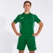 Игровая футболка JOMA CHAMPIONSHIP VII  