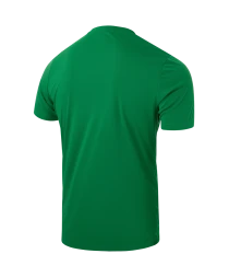 Футболка вратарская JOGEL DIVISION PerFormDRY SPLASH GK Jersey, зеленый