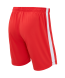 Шорты игровые JOGEL PREMIER PerFormDRY Spartak Away Shorts, красный/белый