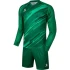 Детская вратарская форма KELME Long Sleeve Goalkeeper Suit Green