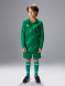 Детская вратарская форма KELME Long Sleeve Goalkeeper Suit Green
