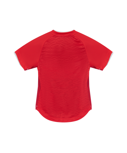 Футболка игровая JOGEL PREMIER PerFormDRY Spartak Home Jersey, красный