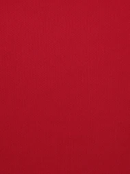 Детские шорты KELME Football Shorts Red