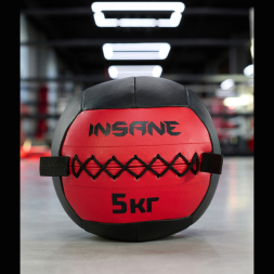 Медбол INSANE IN24-WB100, 5 кг, красный