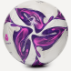 Мяч футбольный JOGEL Triumph Elite WSL №5