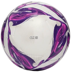 Мяч футбольный JOGEL Triumph Elite WSL №5 (РФС ПРО)