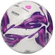 Мяч футбольный JOGEL Triumph Elite WSL №5 (РФС ПРО)