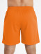 Шорты FN Stride Orange