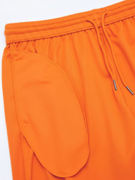 Шорты FN Stride Orange